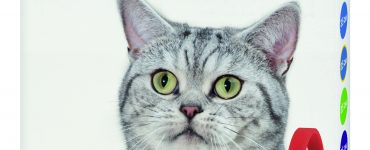 Ошейник для котов от блох и клещей - картинка 43