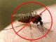 Как спастись от комаров и мошек - картинка 43