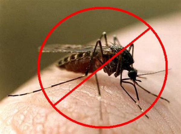 Как спастись от комаров и мошек - картинка 1