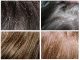 Как выглядят вши на волосах человека - картинка 32