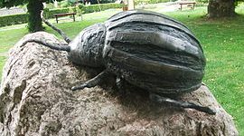 Колорадский жук откуда взялся в россии - картинка 32