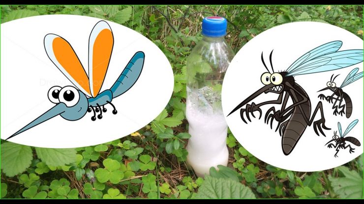 Народное средство от комаров и мошек - картинка 1