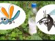 Народное средство от комаров и мошек - картинка 35