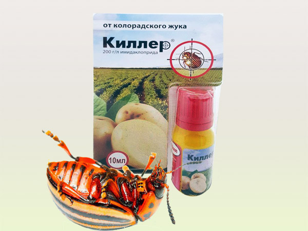 Препарат киллер от колорадского жука - картинка 1