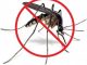 Уничтожение комаров на дачном участке - картинка 39